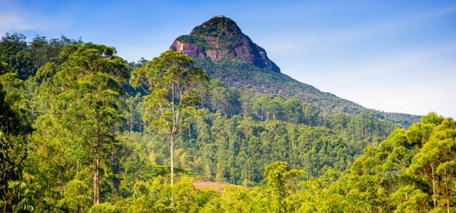 Adam’s Peak