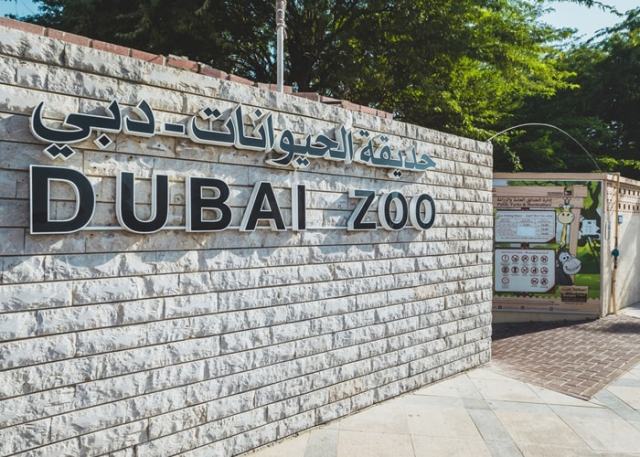 Dubai Zoo