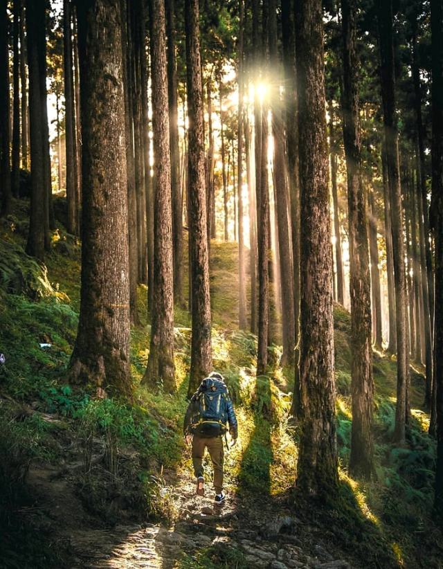 Lamahatta Park, Darjeeling