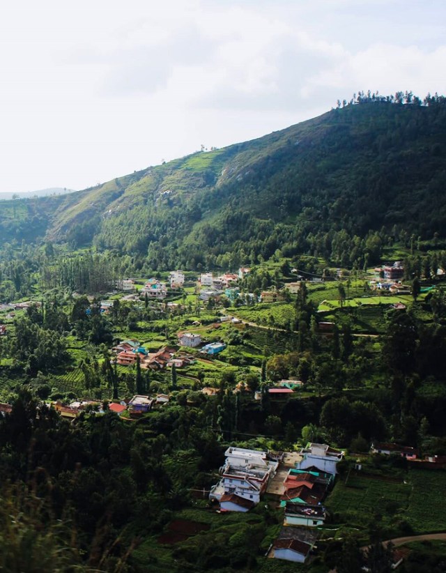 Ooty, Tamil Nadu
