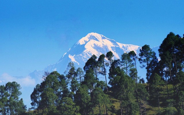 Binsar Wildlife Sanctuary