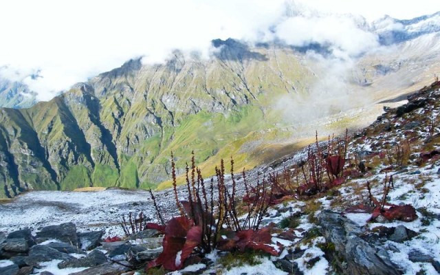 Nanda Devi National Park