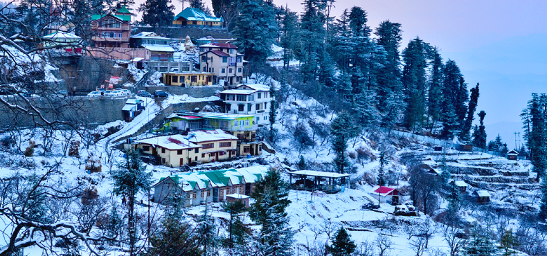 Shimla Place